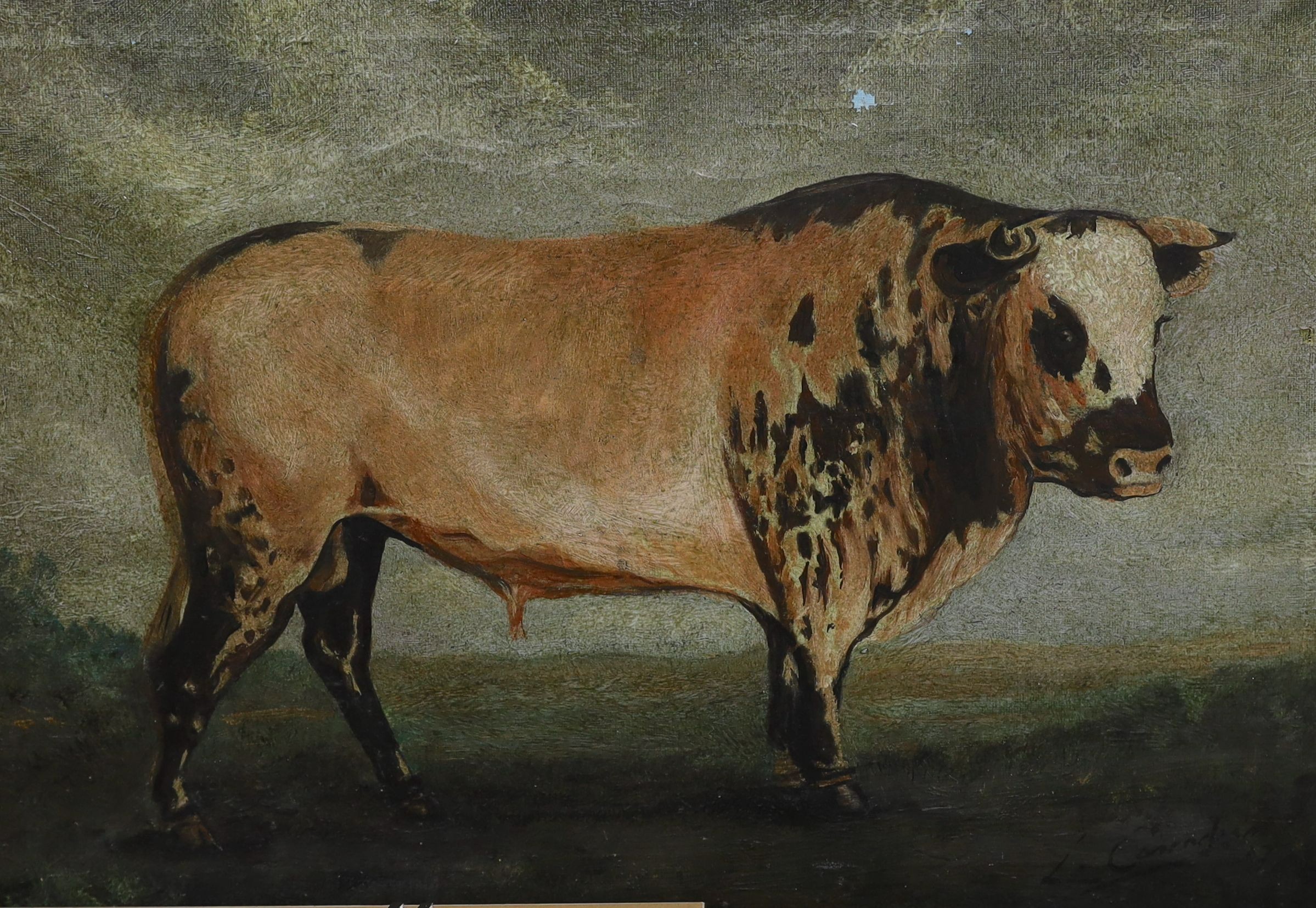 French School, three primitive studies in oil of pigs and a bull, indistinctly signed, largest 37 x 54cm